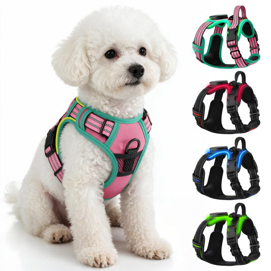 LED Light Up Dog Harness | Rechargeable,3 Modes,20H,Reflective