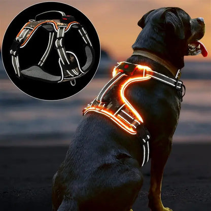 Rechargeable LED Dog Harness | Reflective & Lightweight for Night Walks