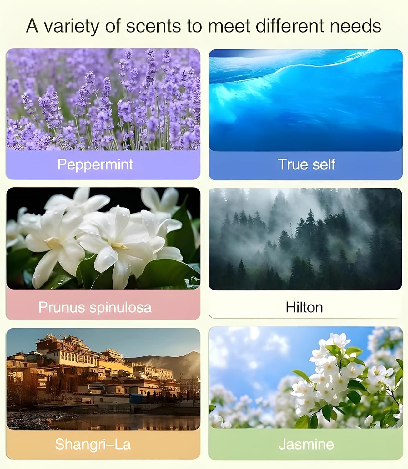 Automatic Essential Oil Diffuser with Digital Display for Home