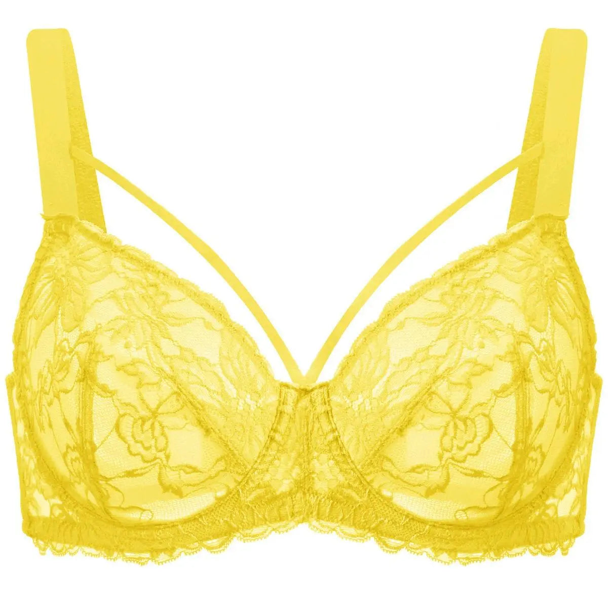 HSIA Pretty In Petals Plus Size Full Coverage Underwire Lace Bra