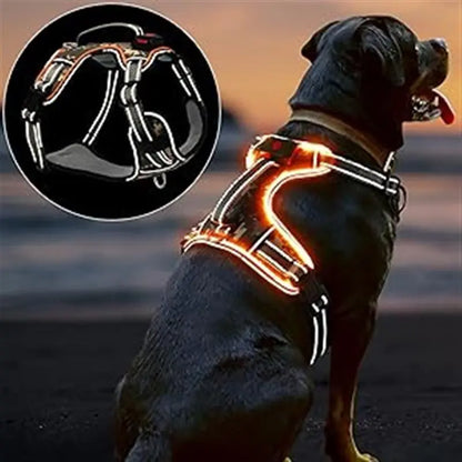 Rechargeable LED Dog Harness | Reflective & Lightweight for Night Walks